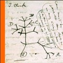 Charles Darwin: Evolution & Wonder by James Moore