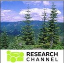 Denman Forestry Issues by Bruce Bare