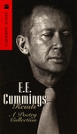 E.E. Cummings by E.E. Cummings