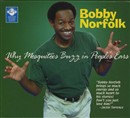 Why Mosquitoes Buzz in People's Ears by Bobby Norfolk