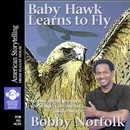 Baby Hawk Learns to Fly by Bobby Norfolk