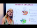 Expanding Our Horizons: Matter, Space, and the Universe by Lisa Randall
