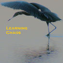 Learning Chaos Podcast by Mac Bogert