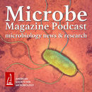 Microbe Magazine Podcast by Jeff Fox