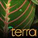 Terra: The Nature of Our World - PBS Video Podcast