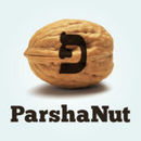 ParshaNut Podcast by David Kasher