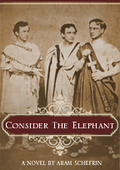 Consider the Elephant: The Life and Death of John Wilkes Booth as Told By His Brother Edwin Podcast by Aram Schefrin