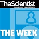 The Week from The Scientist Podcast