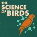 The Science of Birds Podcast by Ivan Phillipsen