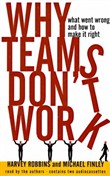Why Teams Don't Work by Harvey Robbins