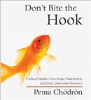 Don't Bite the Hook by Pema Chodron