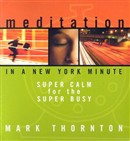 Meditation in a New York Minute by Mark Thornton