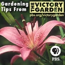 The Victory Garden Podcast by Kip Anderson