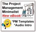 The Project Management Minimalist by Michael Greer
