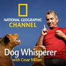 Dog Whisperer Video Podcast by Cesar Millan