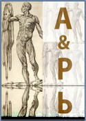 Anatomy and Physiology Podcast by Michaeleen Bonner