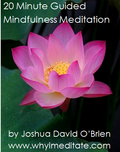20 Minute Guided Mindfulness Meditation Practice by Joshua David OBrien