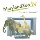 MarylandZoo.TV Video Podcast by Joel Mark Witt