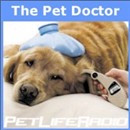 PetLifeRadio.com - The Pet Doctor Podcast by Bernadine Cruz