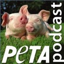 PETA's Podcast by Jack Shepherd