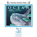 Ocean Currents Radio Program Podcast by Jennifer Stock