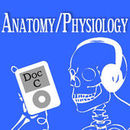 Biology 2110-2120: Anatomy and Physiology Podcast by Gerald Cizadlo