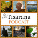 Ajahn Viradhammo at Tisarana Podcast by Ajahn Viradhammo