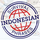 Survival Phrases - Indonesian Podcast