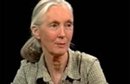 An Interview with Jane Goodall by Jane Goodall