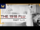The 1918 Spanish Flu by Bruce E. Fleury
