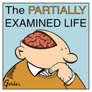 The Partially Examined Life Podcast by Mark Linsenmayer