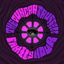 The Duncan Trussell Family Hour Podcast by Duncan Trussell