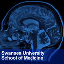 Swansea University College of Medicine: Neuroscience Podcast by Phil Newton