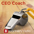 CEO Coach Podcast by Gillian Muessig