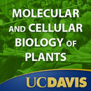 Molecular and Cellular Biology of Plants by John Harada