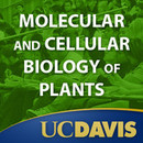Molecular and Cellular Biology of Plants by John Harada