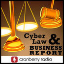 CyberLaw and Business Report Podcast by Bennet Kelley
