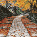 Philosophy as a Guide to Living by Stephen A. Erickson