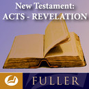 New Testament II: Acts to Revelation by David Scholer