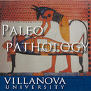 Paleopathology and the History of Disease by Michael Zimmerman