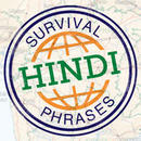 Surviva lPhrases - Hindi Podcast