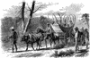 My Bondage and My Freedom by Frederick Douglass
