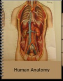 Human Anatomy by David Bastedo