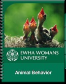 Animal Behavior by Yikweon Jang