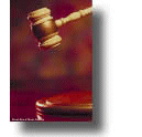 Business Law: Negligence and Torts by Frank B. Cross