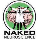 Naked Neuroscience, from the Naked Scientists Podcast