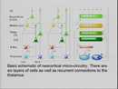 Karl Deisseroth on Cracking the Neural Code by Karl Deisseroth