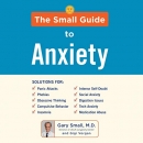The Small Guide to Anxiety by Gary Small