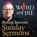 Bishop Robert Barron's Sermons Podcast by Robert Barron