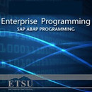 Enterprise Programming by Tony Pittarese